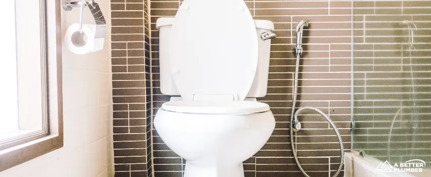  ABP - Toilet in bathroom 